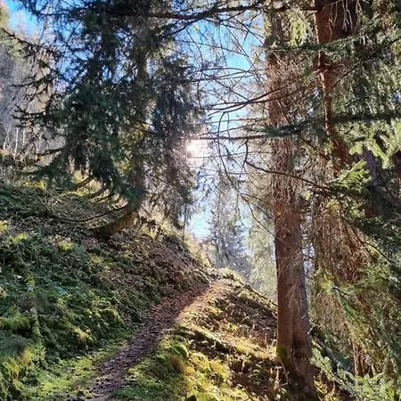 Appartamento Manuela 12