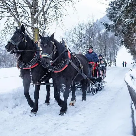 Διαμέρισμα Manuela 12 Rauris