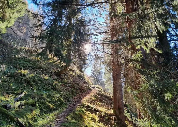 Apartmán Manuela 12